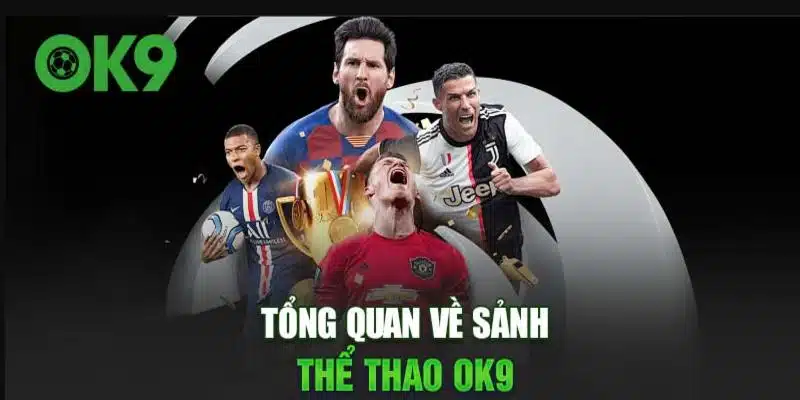 Top 3 sảnh cược uy tín hợp tác cùng thể thao OK9