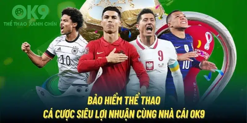 Bảo Hiểm Thể Thao | Cá Cược Siêu Lợi Nhuận Cùng Nhà Cái OK9