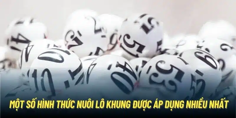 Một số hình thức nuôi lô khung được áp dụng nhiều nhất