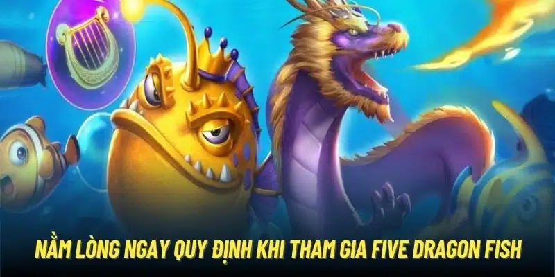 Nằm lòng ngay quy định khi tham gia Five Dragon Fish